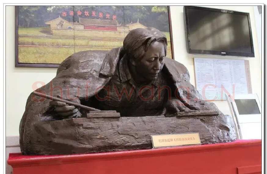 杨振荣·毛泽东同志