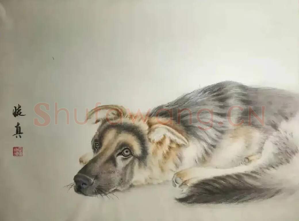 王晓真·53X38