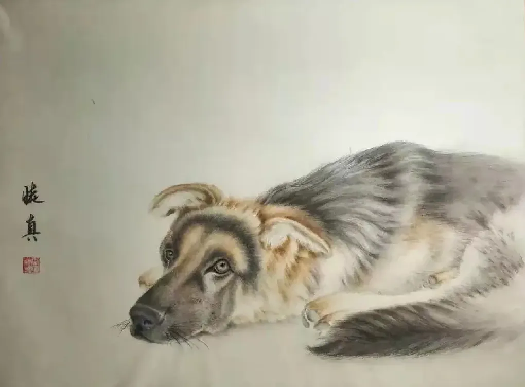 王晓真·53X38