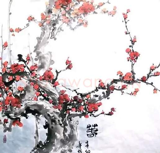 彭强·春（梅花）