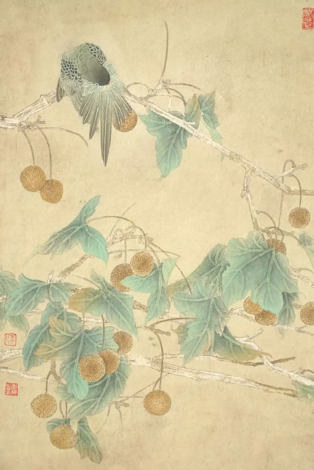 李学梅·梧桐小鸟