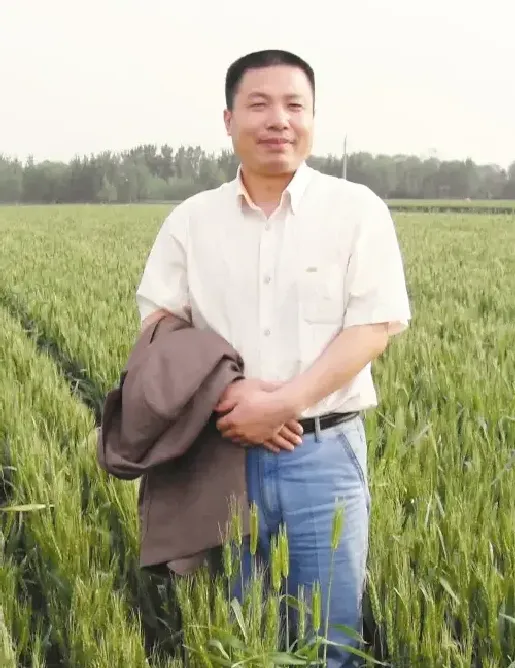 金增友