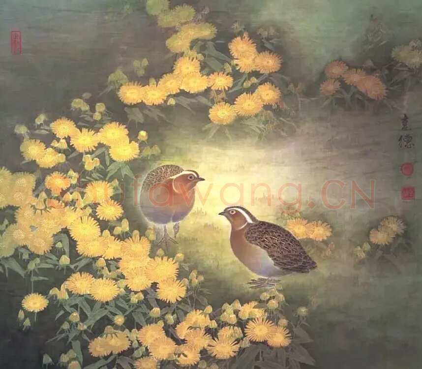 贾克德·金盏玉蕊