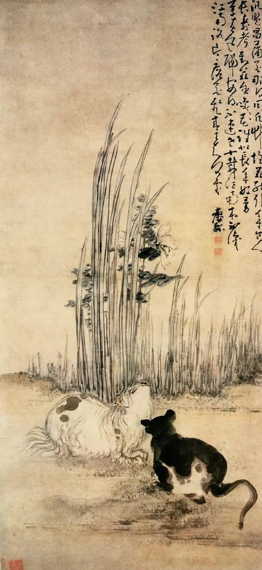 黄慎·双猫图