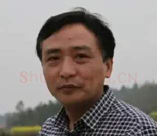 周海歌