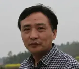 周海歌