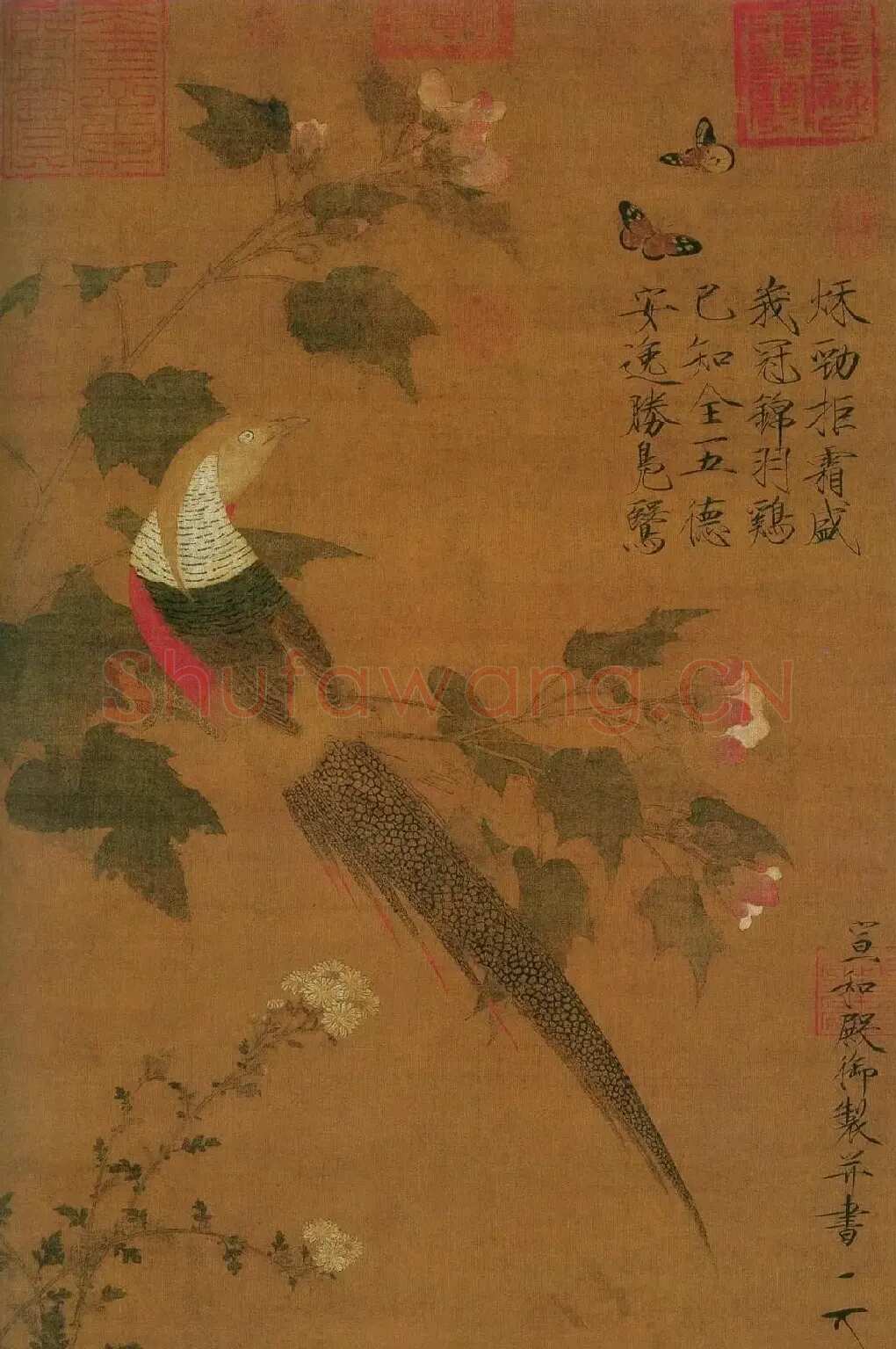赵佶·芙蓉锦鸡图