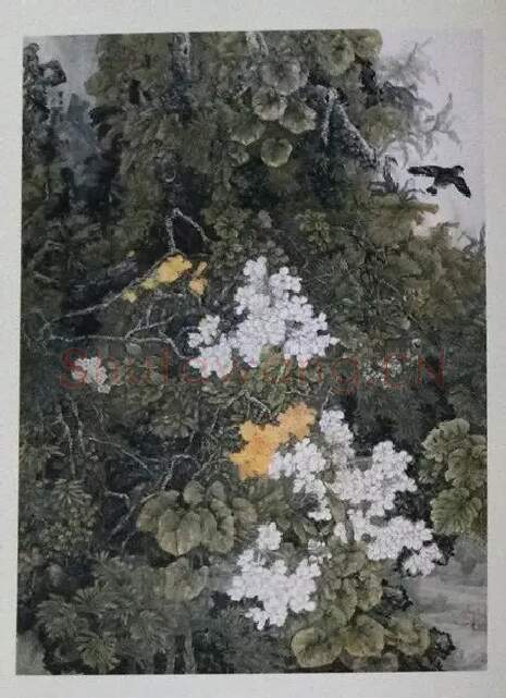 周永辉·花发港城春