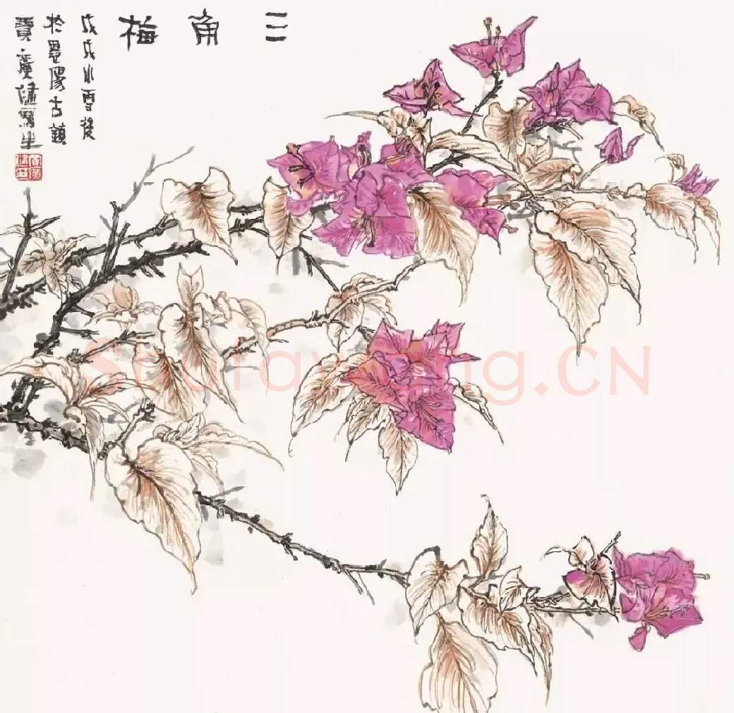 贾广健·《三角梅》