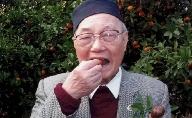 谭勇