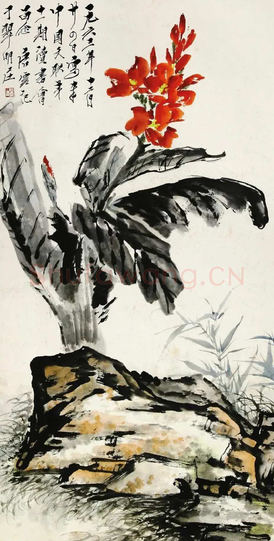 唐云·芭蕉花卉