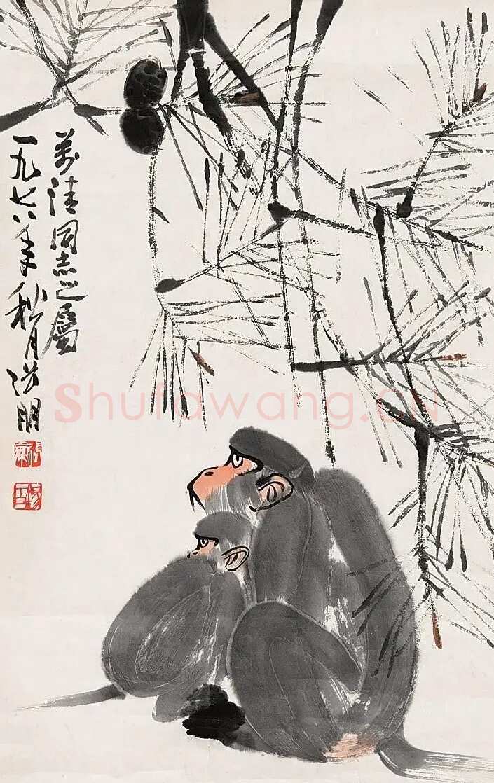 张朋·猴