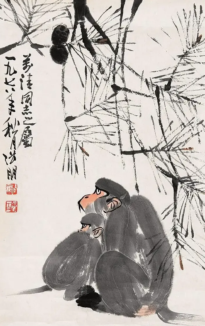 张朋·猴