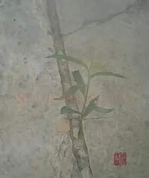 张建超·《生存》