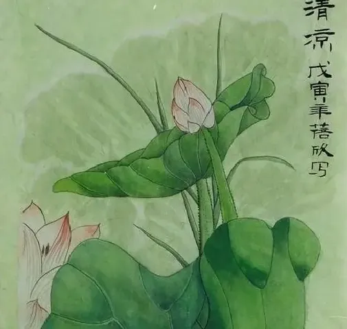 赵蓓欣·清凉