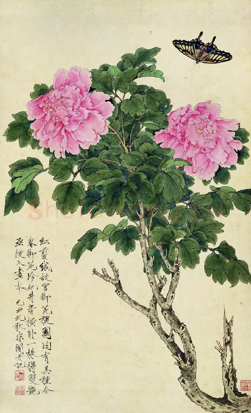 于非闇·粉红牡丹
