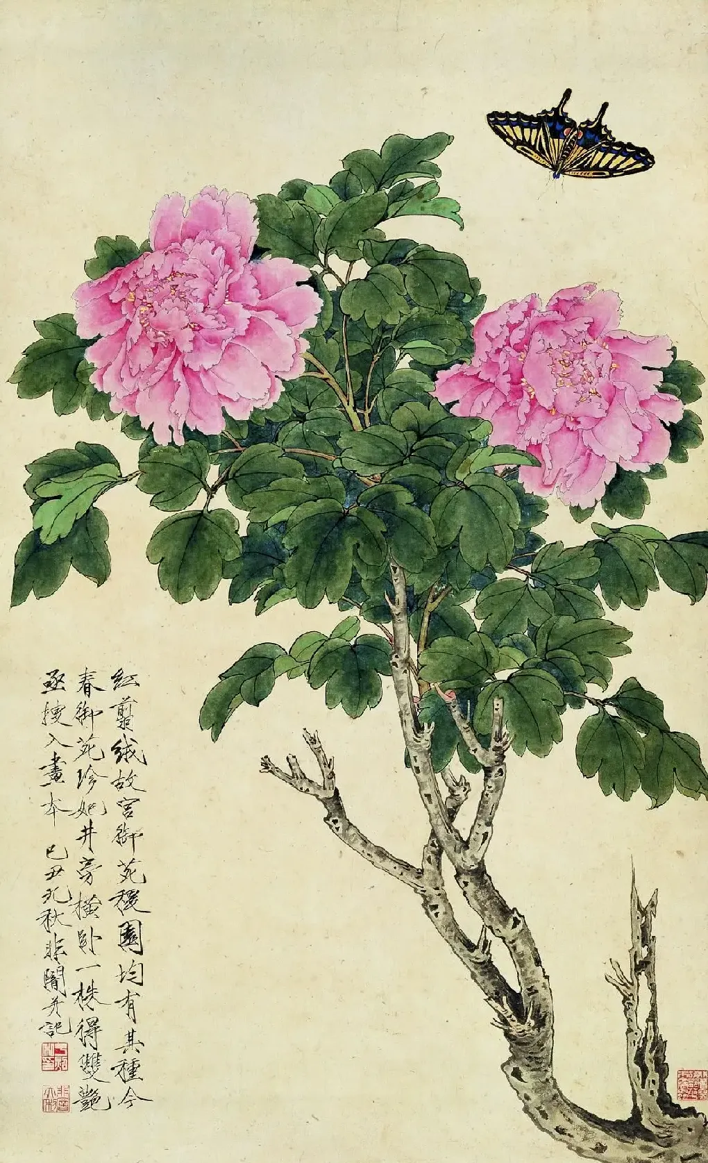 于非闇·粉红牡丹