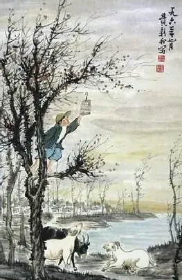 费新我·鸟趣