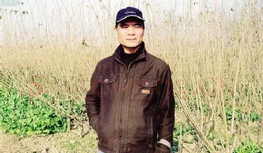 曾成金