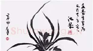 张淑兰·兰花图（2011）