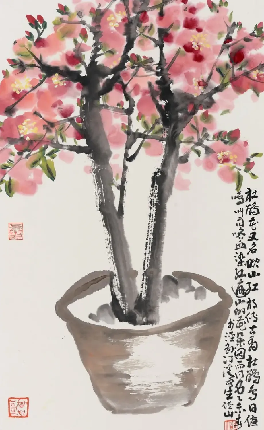 马硕山·杜鹃写生