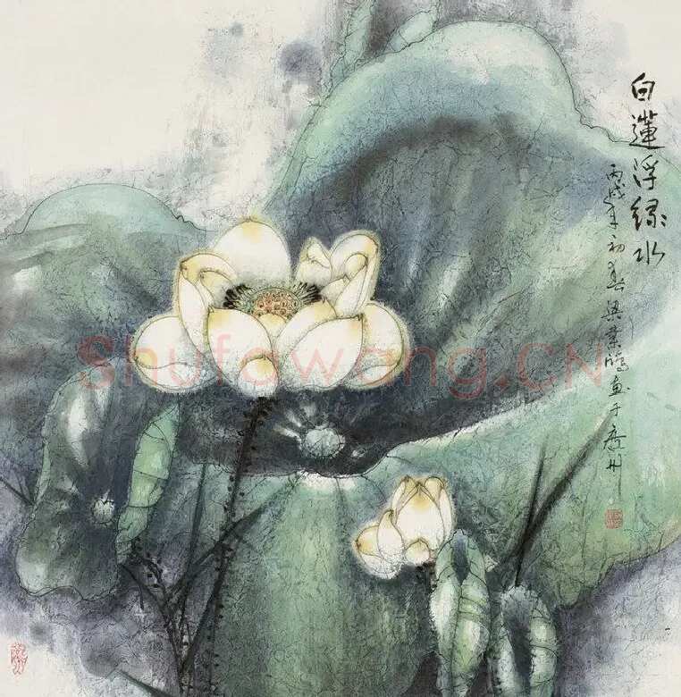 梁业鸿·白莲浮绿水