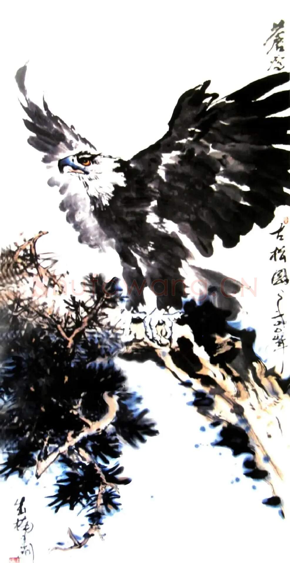 姜成楠·苍鹰古松