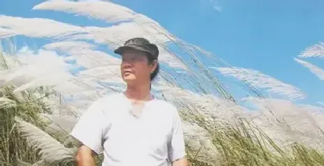 王韶悌