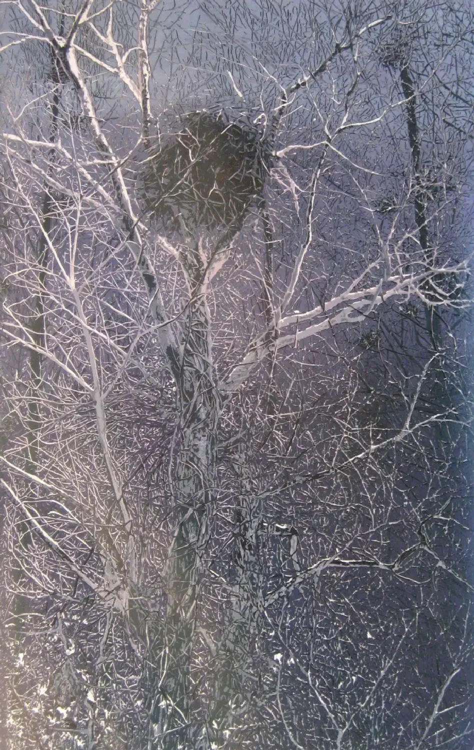 曹明凤·巢