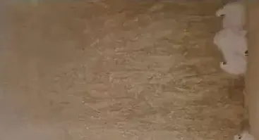 卢建绪·故乡暖日