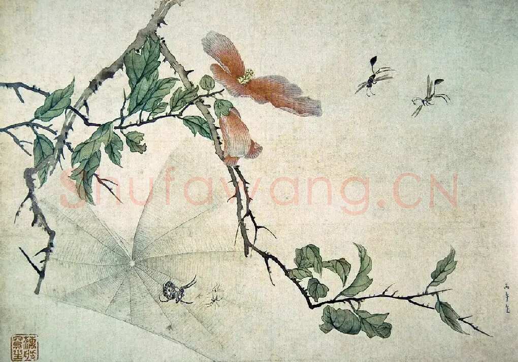范金镛·《蜘蛛木槿》
