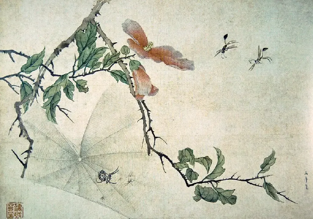 范金镛·《蜘蛛木槿》