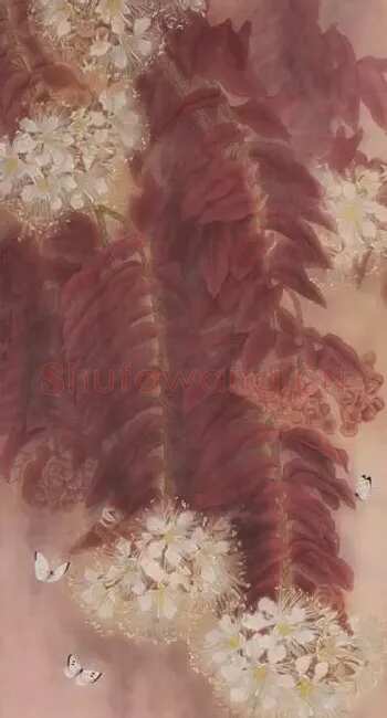 金纳·金纳 作品