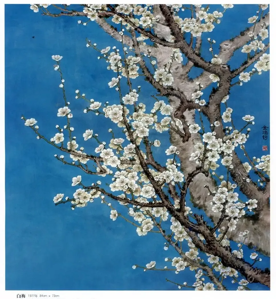 金鸿钧·白梅