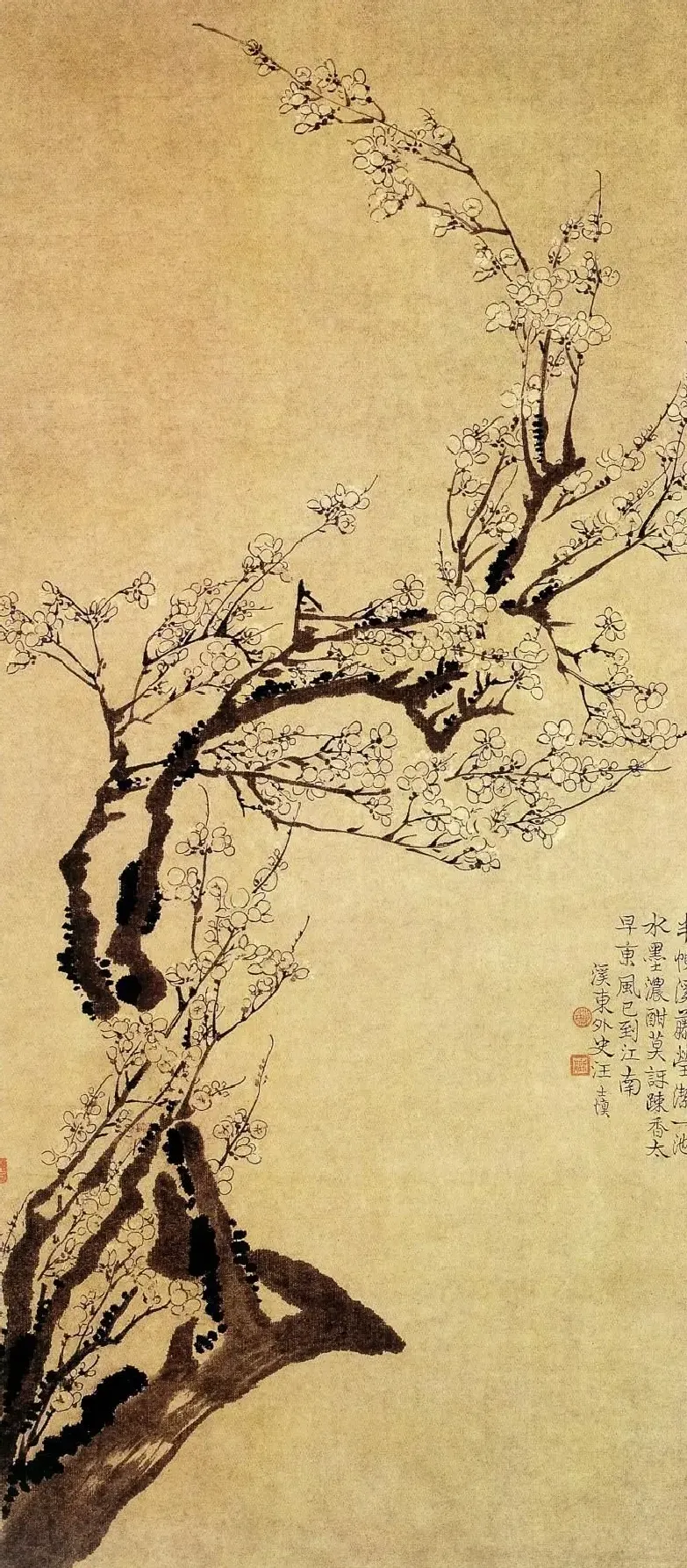 汪士慎·梅花图