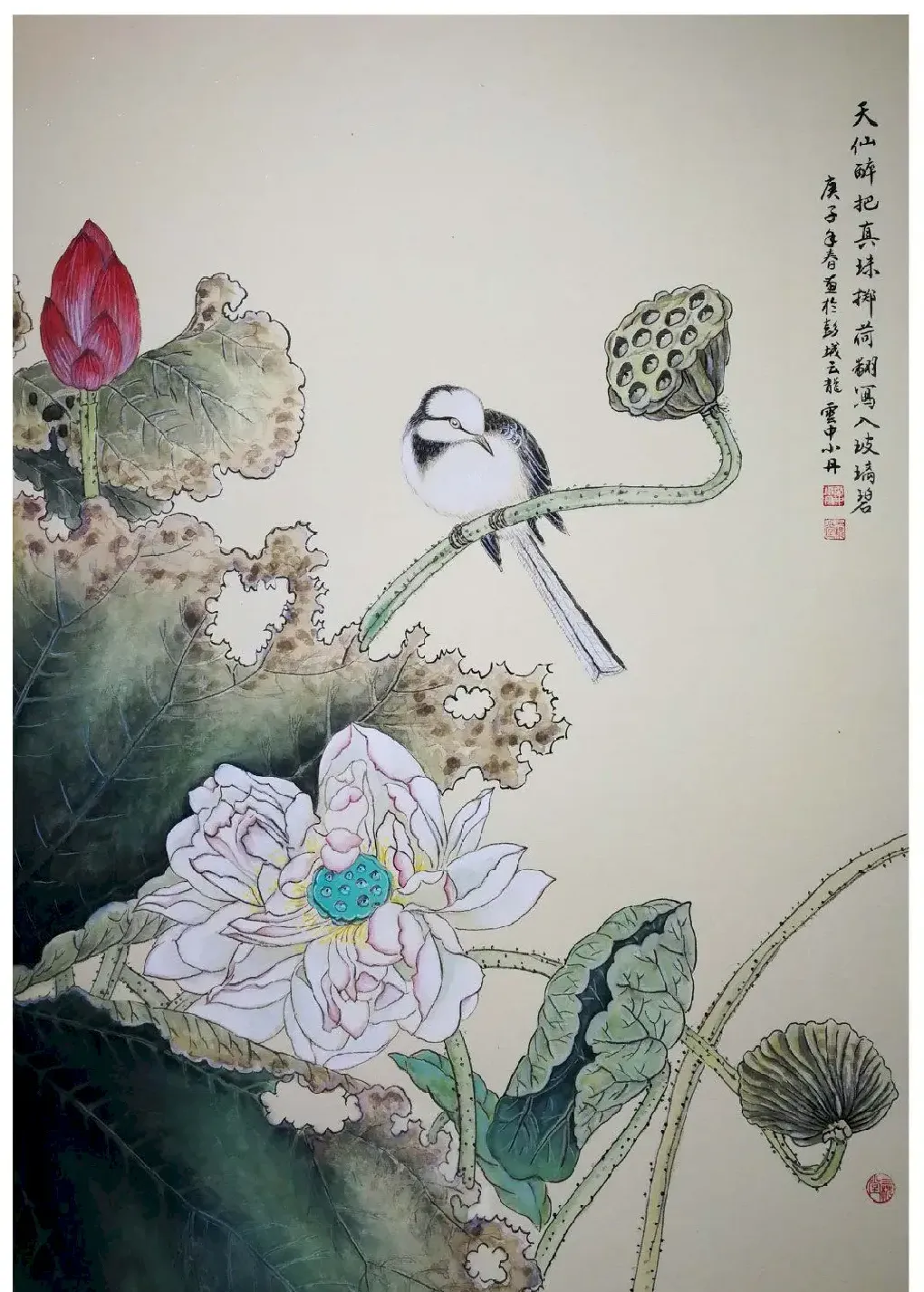 云中小丹·古典花鸟