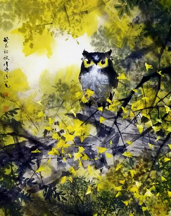 舒传曦·晨曦