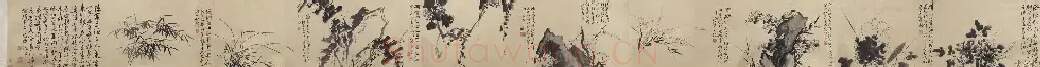 徐渭·墨花九段图