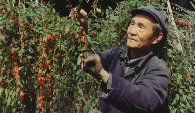 宋步云