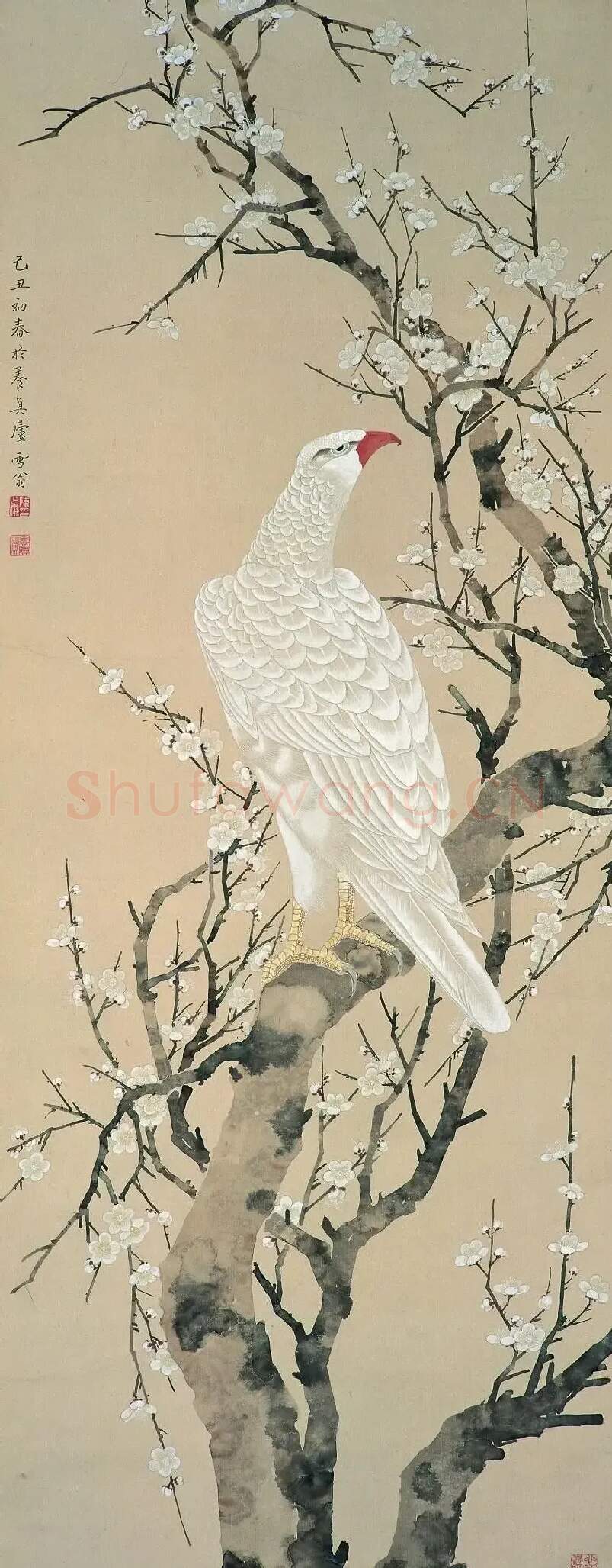 陈之佛·梅树白鹰