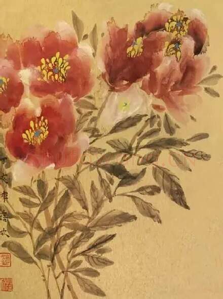 赵蓓欣·卡纸花卉