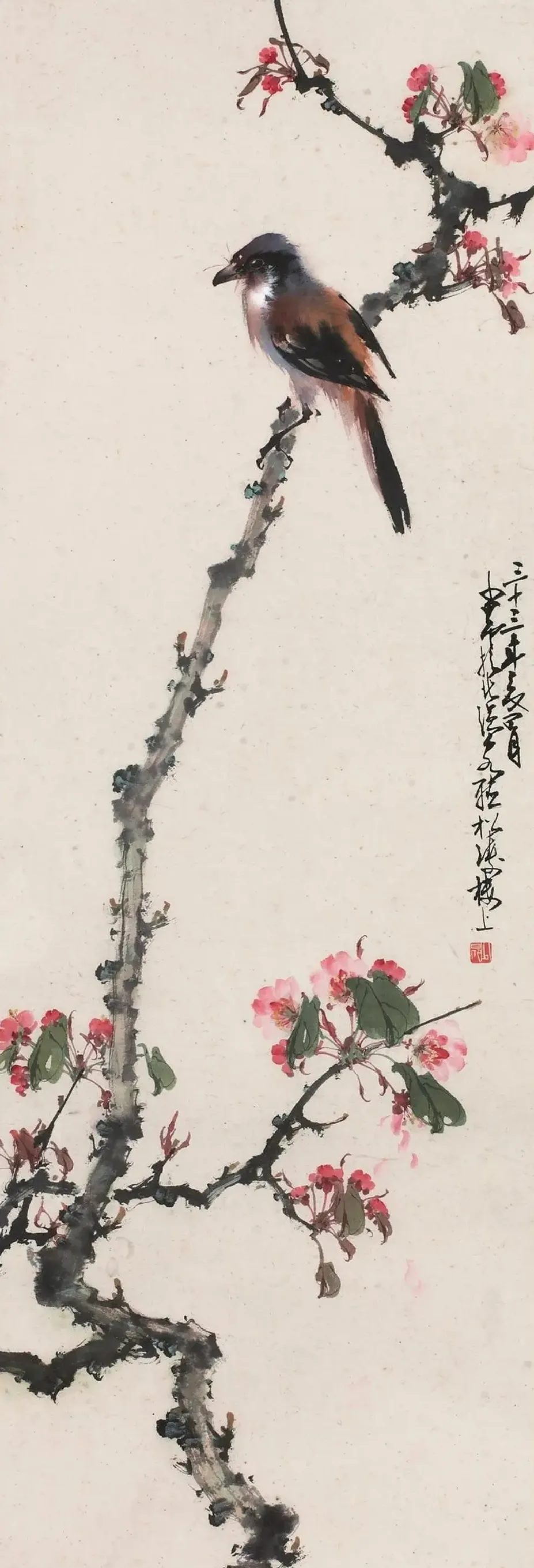赵少昂·花鸟