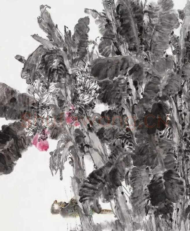 张馨·蕉林深处
