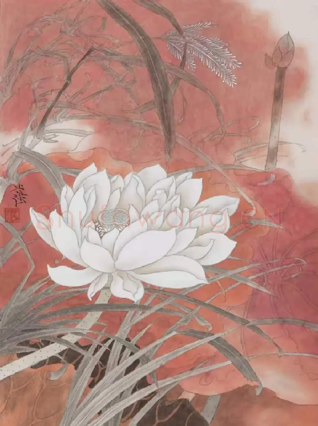 张光强·张光强作品