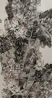 舒朦·瑞风和畅