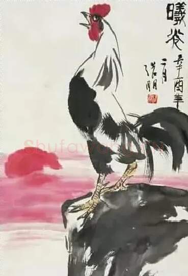 张朋·曦光