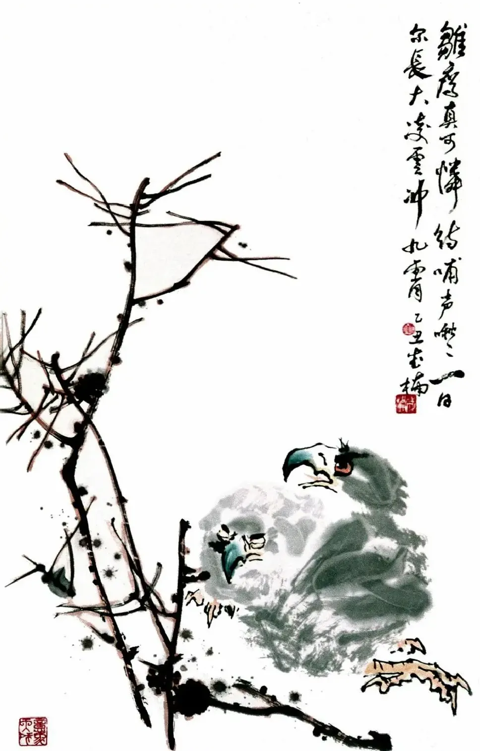 姜成楠·雏鹰真可怜