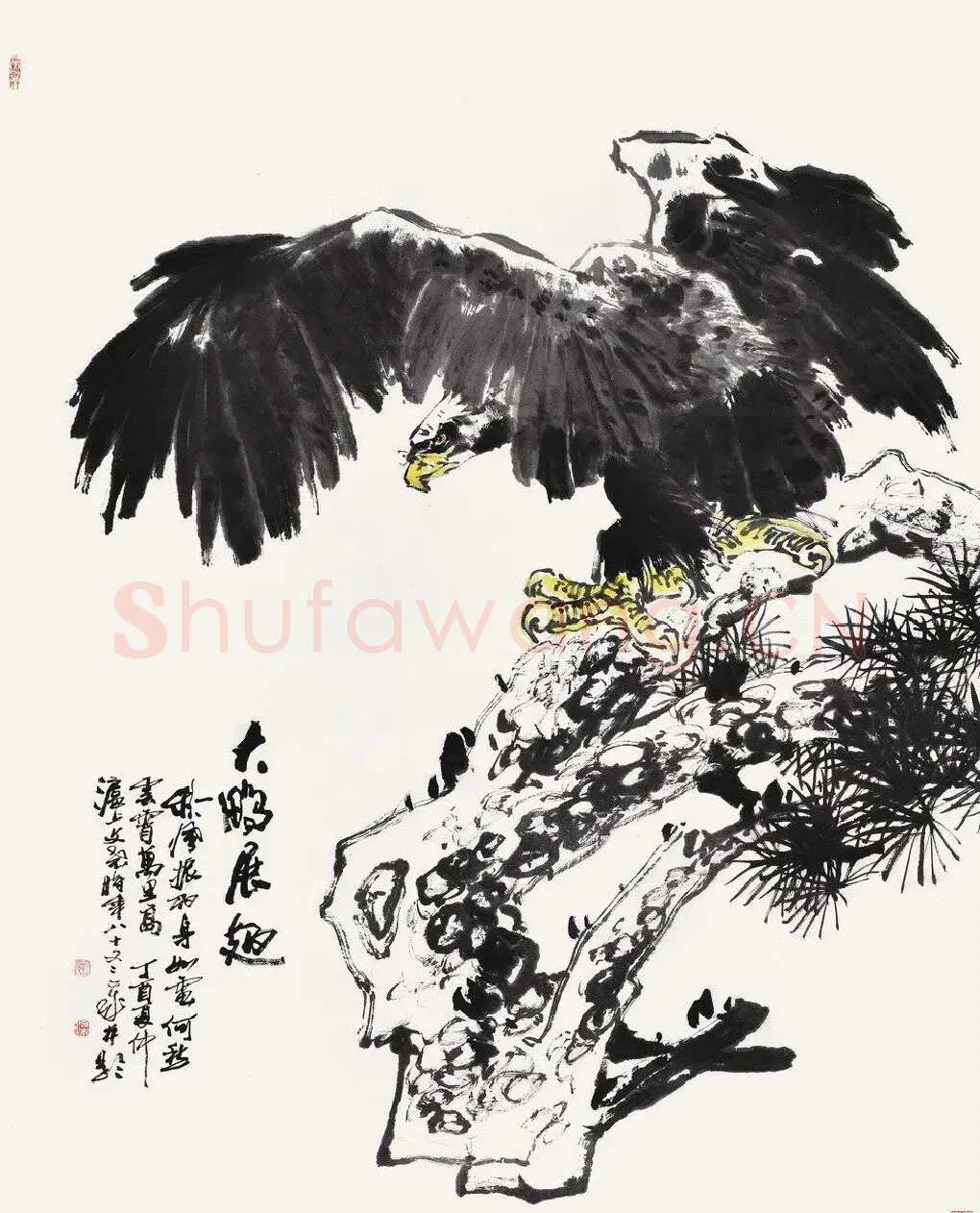 梁文尧·大鹏展翅