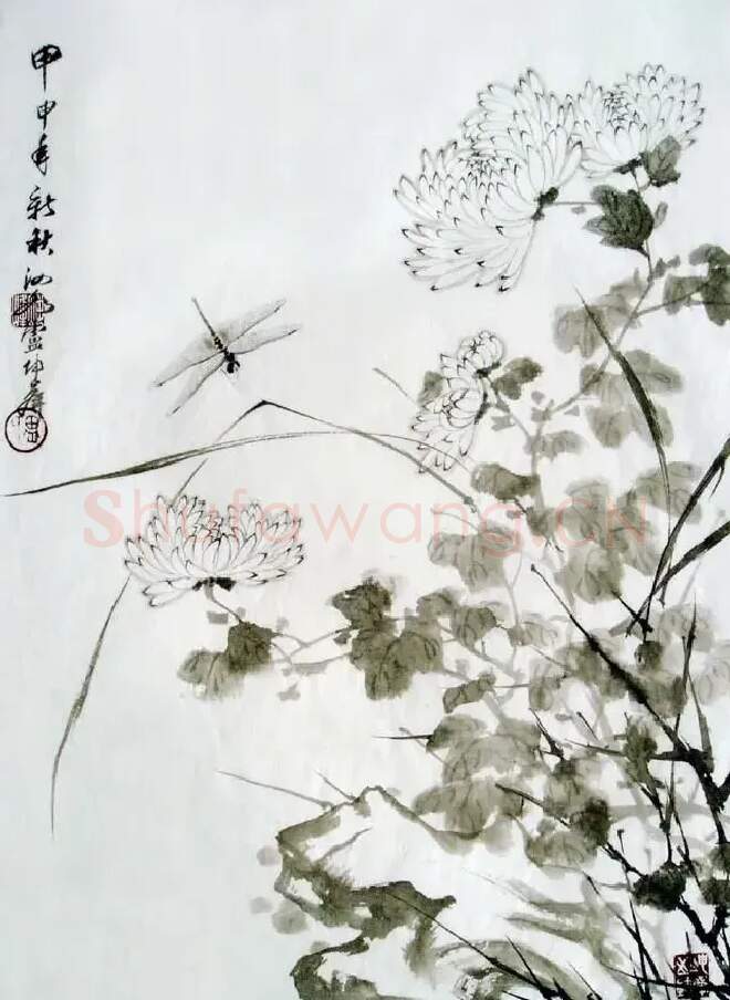 卢坤峰·菊蝶
