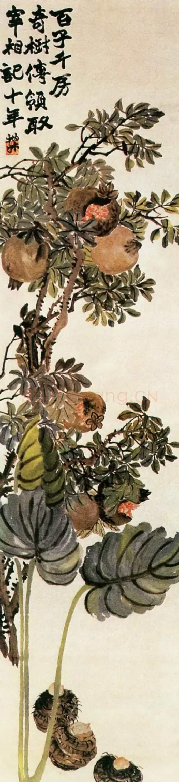 赵之谦·四时果实图